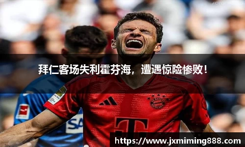 球速体育平台
