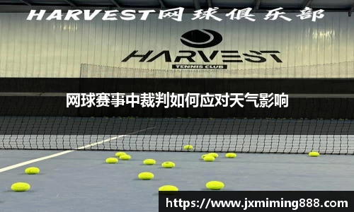 球速体育