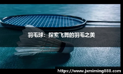 羽毛球：探索飞舞的羽毛之美