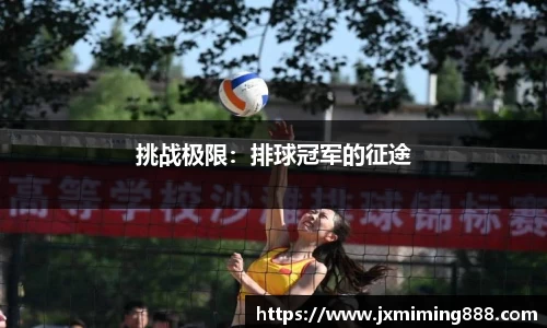 挑战极限：排球冠军的征途