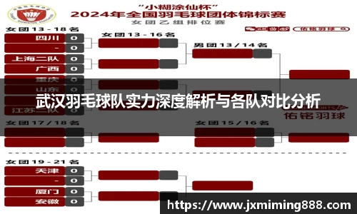 武汉羽毛球队实力深度解析与各队对比分析